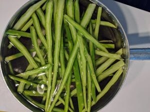 仙人掌食譜