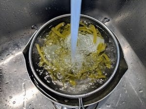仙人掌食譜