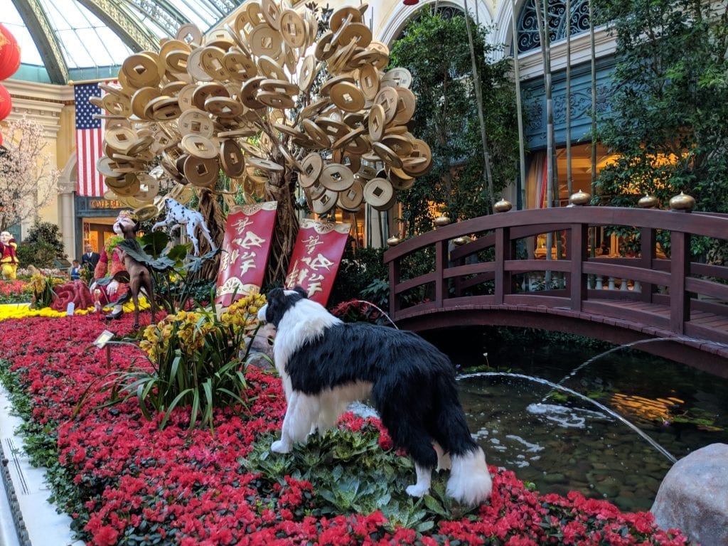 拉斯維加斯旅遊攻略