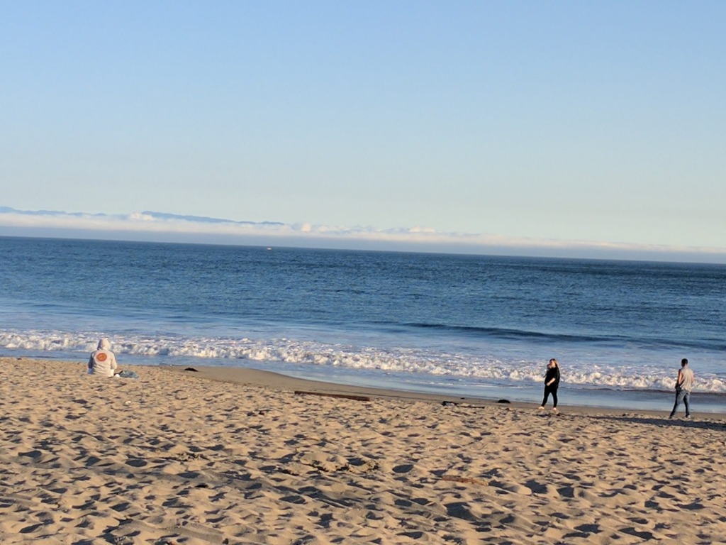 Read more about the article Silicon Valley矽谷走走戶外活動