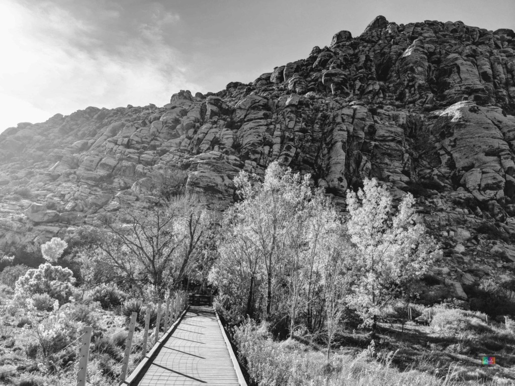 Read more about the article 達成財務自由的困難