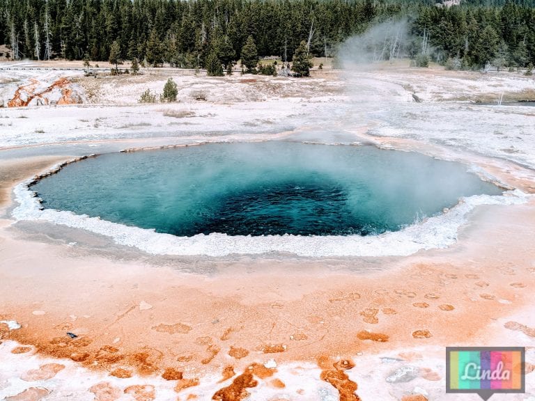 Read more about the article [美國]黃石公園旅遊Yellowstone National Park