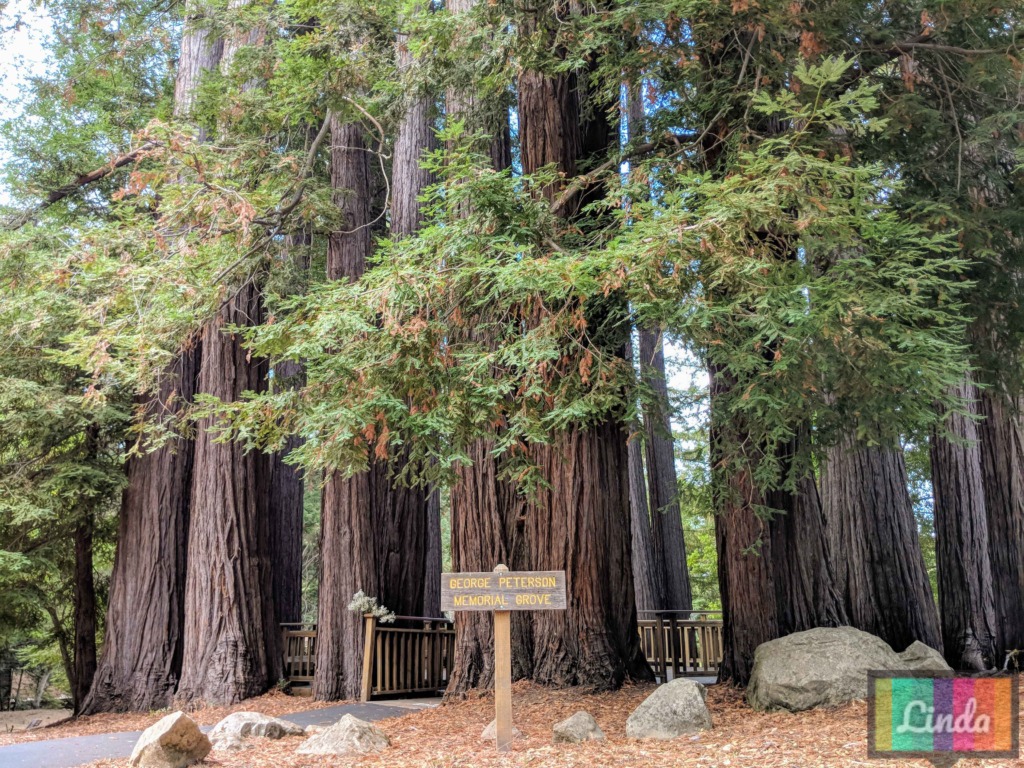 Read more about the article [美國]北加州旅遊Reno, Lake Tahoe and San Jose