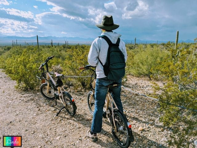 Saguaro National Park