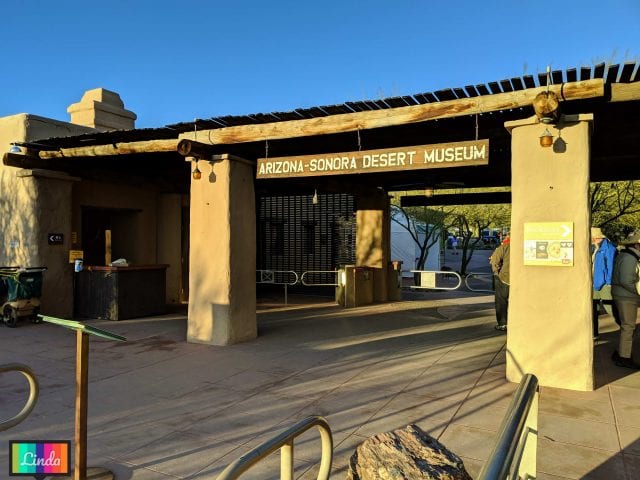 Saguaro National Park