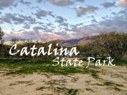 Read more about the article [美國][露營車]遊亞利桑那Catalina州立公園