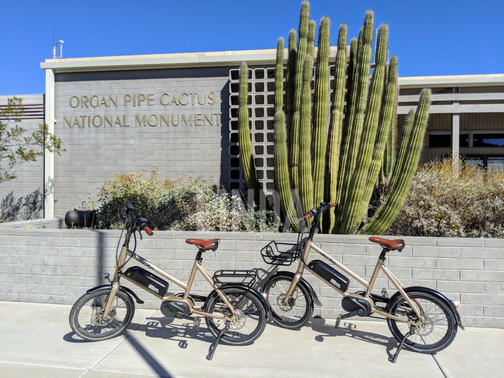 Read more about the article 【2026 管風琴仙人掌全攻略】美墨邊境的沙漠秘境：與管風琴仙人掌的一場暖冬邂逅