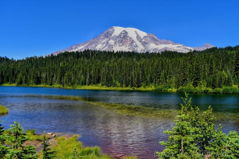 Read more about the article [美國]西雅圖雷尼爾山國家公園攻略 Mt. Rainier National Park