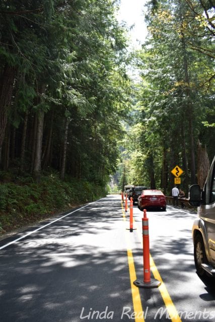 奧林匹克國家公園Olympic National Park