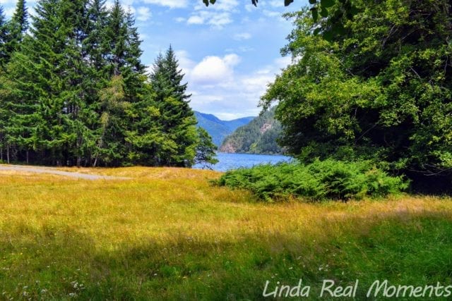 奧林匹克國家公園Olympic National Park
