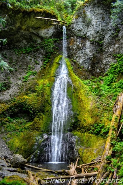 奧林匹克國家公園Olympic National Park
