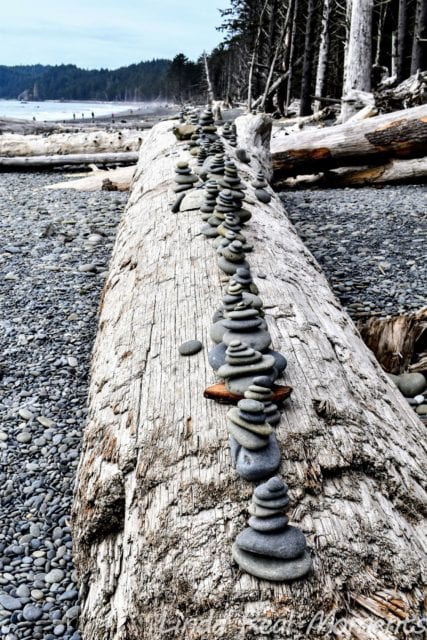 奧林匹克國家公園Olympic National Park