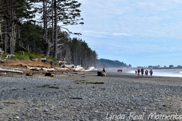 奧林匹克國家公園Olympic National Park