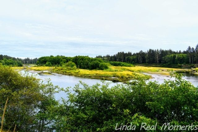 奧林匹克國家公園Olympic National Park