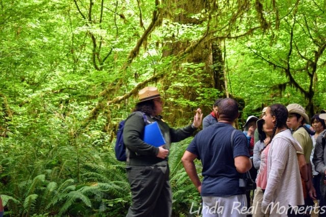 奧林匹克國家公園Olympic National Park