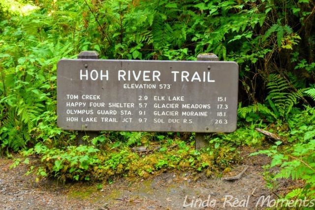 奧林匹克國家公園Olympic National Park