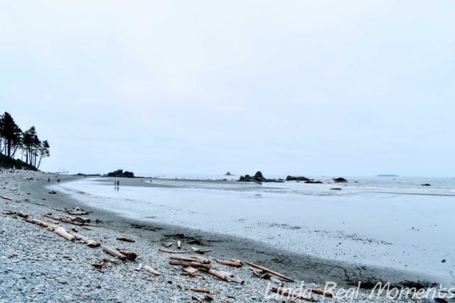 奧林匹克國家公園Olympic National Park