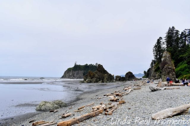 奧林匹克國家公園Olympic National Park