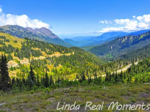 Read more about the article 華盛頓州奧林匹克國家公園Olympic National Park旅遊攻略