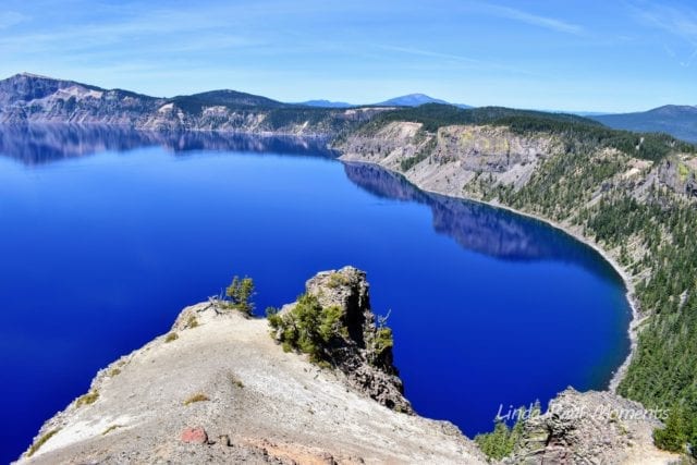 火山口湖國家公園遊記Crater Lake National Park
