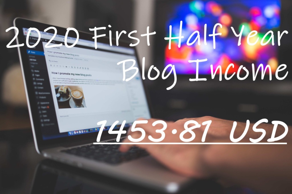 Read more about the article [部落格經營]2020上半年部落格收入-1453.81