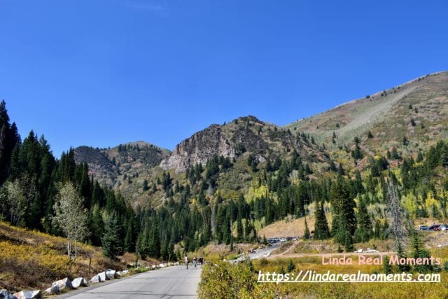 猶他州Salt Lake City鹽湖城