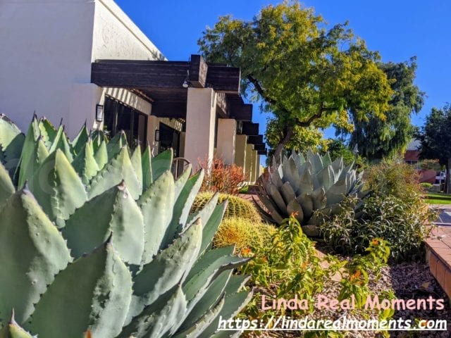 亞利桑那州鳳凰城周邊城市-Tempe, Scottsdale, Chandler