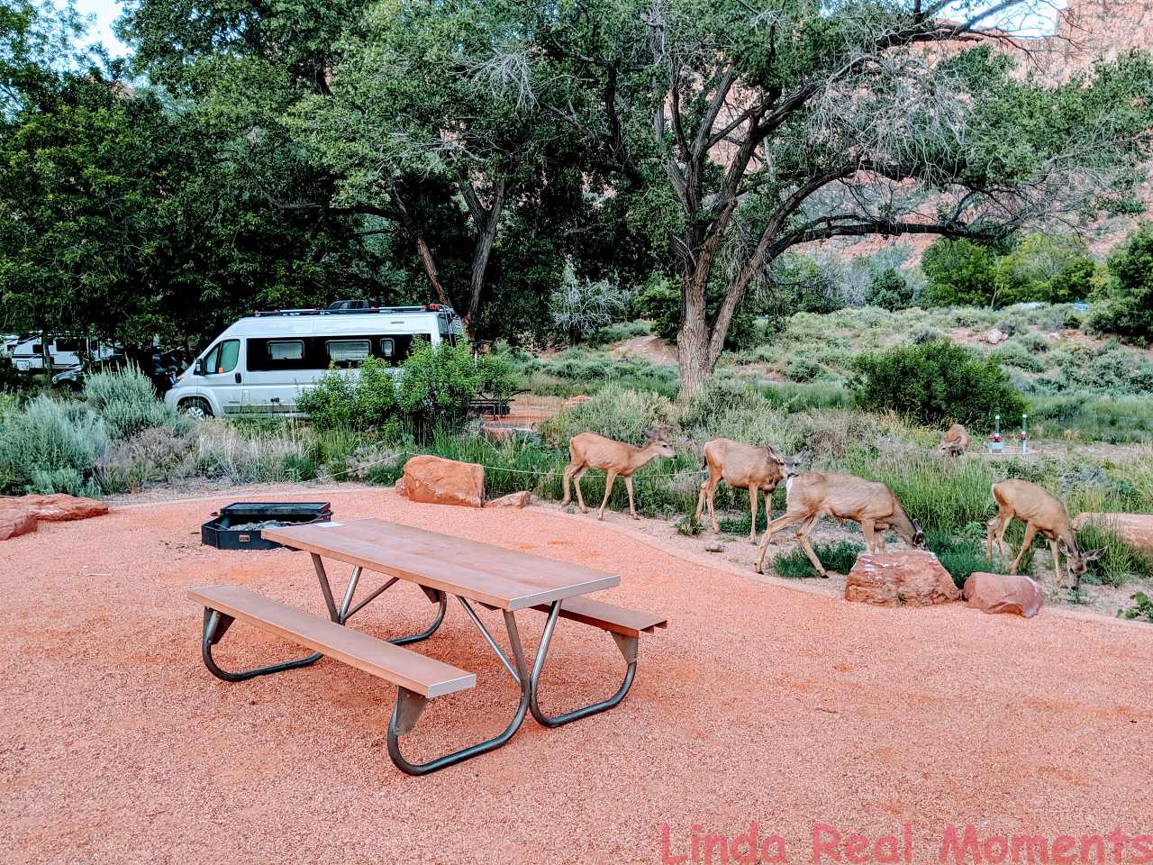 Read more about the article 露營車與露營拖車露營的比較分享(RV V.S. Travel Trailer)